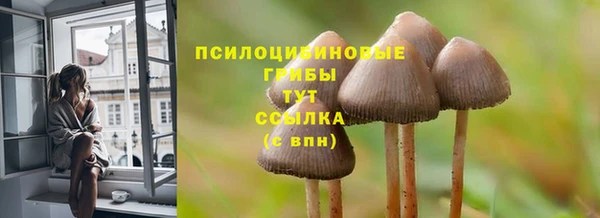 СК Абаза